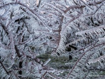Tintin_textures-3