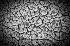Tintin_textures-4