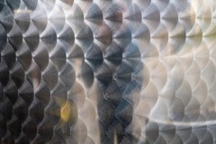 Verena_textures-1