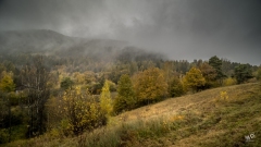 BD_brume-4