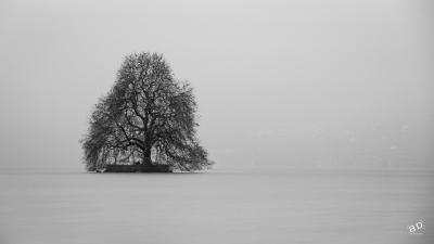 Thème brume et brouillard