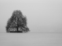 Thème brume et brouillard