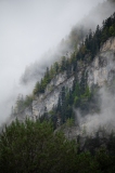 ED_Brouillard