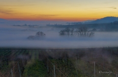 Erwin_BrumeBrouillard-1