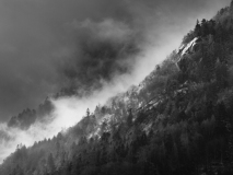 Jog_brume_1