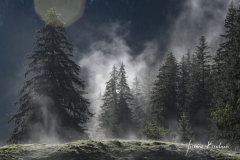 Josiane_brumetbrouillard-1