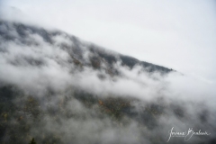 Josiane_brumetbrouillard-3