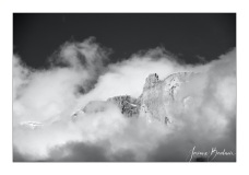 Josiane_brumetbrouillard-4