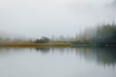 MPT-BrumeBrouillard3