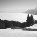 SEMA_BrumeBrouillard_1