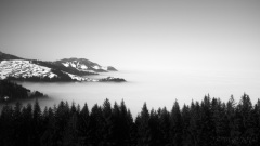 SEMA_BrumeBrouillard_2