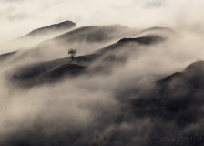 SEMA_BrumeBrouillard_3