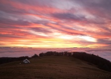 SEMA_BrumeBrouillard_5