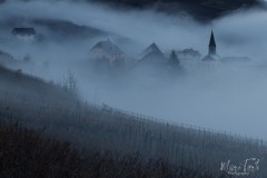marc_BrumeBrouillard-4