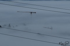 marc_BrumeBrouillard-5