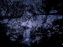 Thème - Silhouette contre-jour