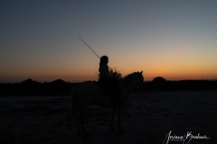 Jbo_silhouette-2-sur-2