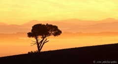 SEMA_silhouettes_contrejour_1
