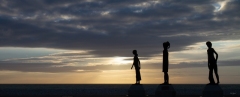 SP-silhouette-1