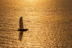 SP-silhouette-4