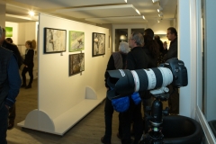 Nindart_expo_Declic_4nov16_02