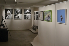 Nindart_expo_Declic_4nov16_18