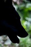 pa_ZooMarecottes-9
